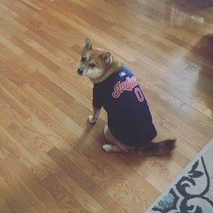 Meet your Posher, Stefani